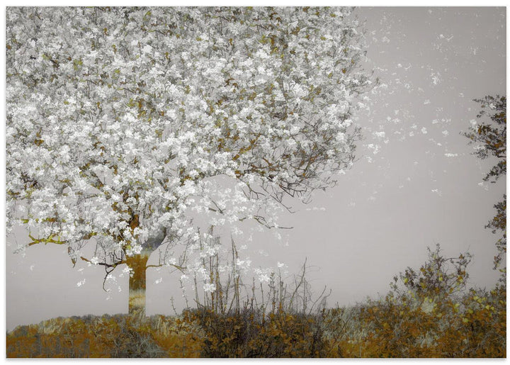 Fruit tree - Stretched Canvas, Poster or Fine Art Print I Heart Wall Art