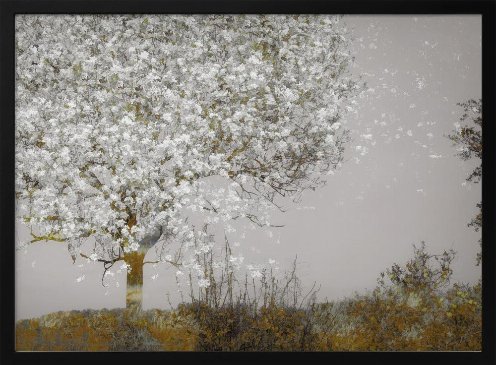 Fruit tree - Stretched Canvas, Poster or Fine Art Print I Heart Wall Art