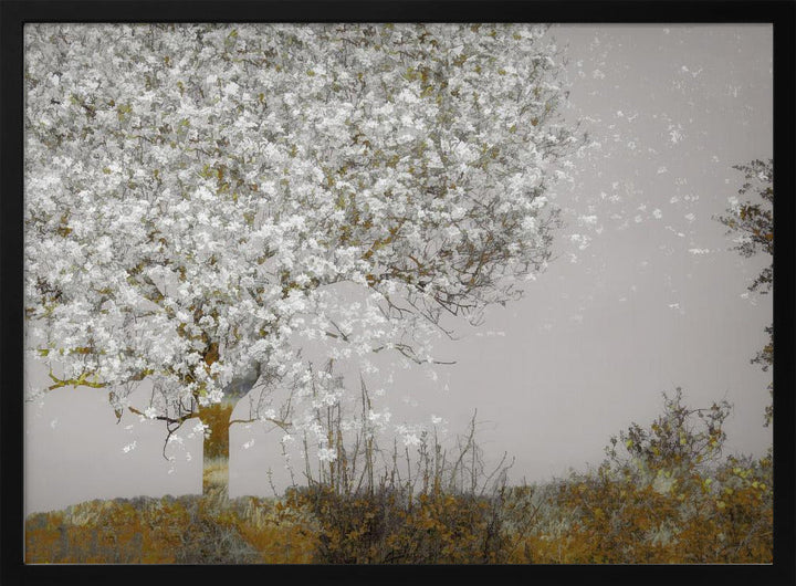Fruit tree - Stretched Canvas, Poster or Fine Art Print I Heart Wall Art