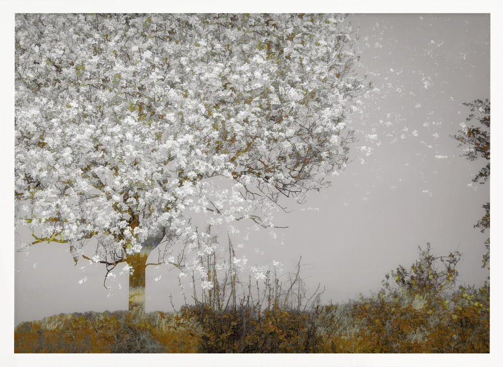Fruit tree - Stretched Canvas, Poster or Fine Art Print I Heart Wall Art