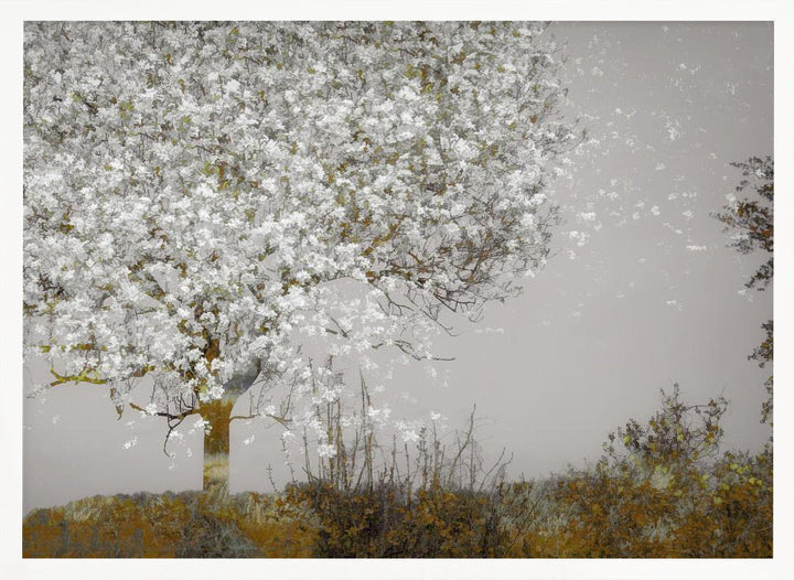 Fruit tree - Stretched Canvas, Poster or Fine Art Print I Heart Wall Art