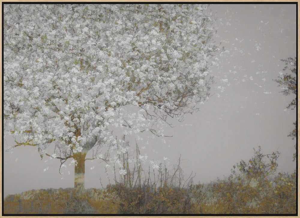 Fruit tree - Stretched Canvas, Poster or Fine Art Print I Heart Wall Art