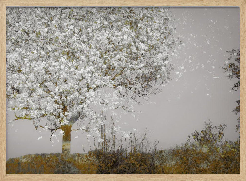 Fruit tree - Stretched Canvas, Poster or Fine Art Print I Heart Wall Art