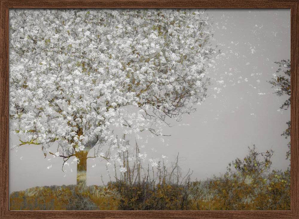 Fruit tree - Stretched Canvas, Poster or Fine Art Print I Heart Wall Art