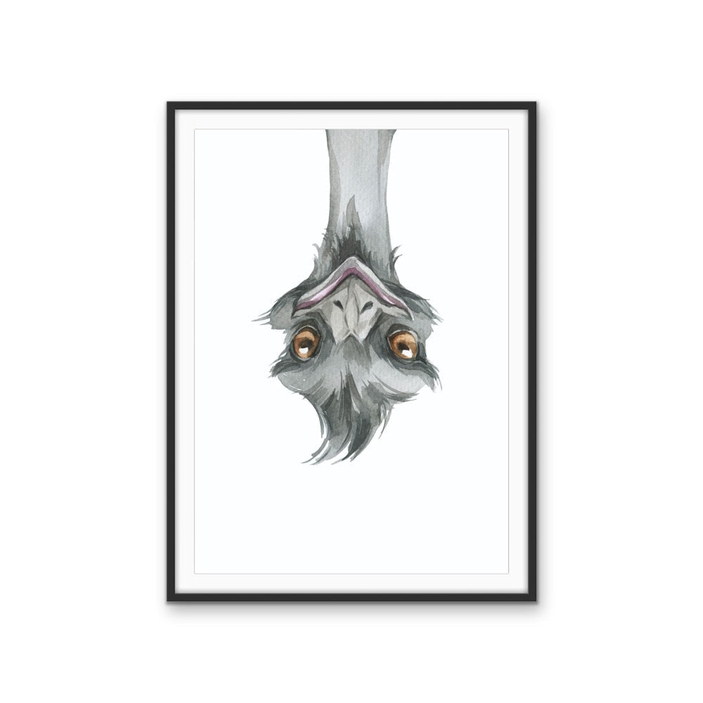 Funny Emu Nursery Sketch - Australian Native Animal Stretched Canvas or Wall Art Print - I Heart Wall Art - Poster Print, Canvas Print or Framed Art Print