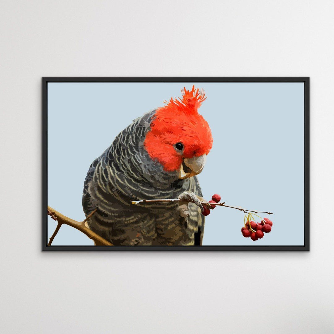 Gang Gang Cockatoo - Australian Native Bird Canvas or Art Print - I Heart Wall Art