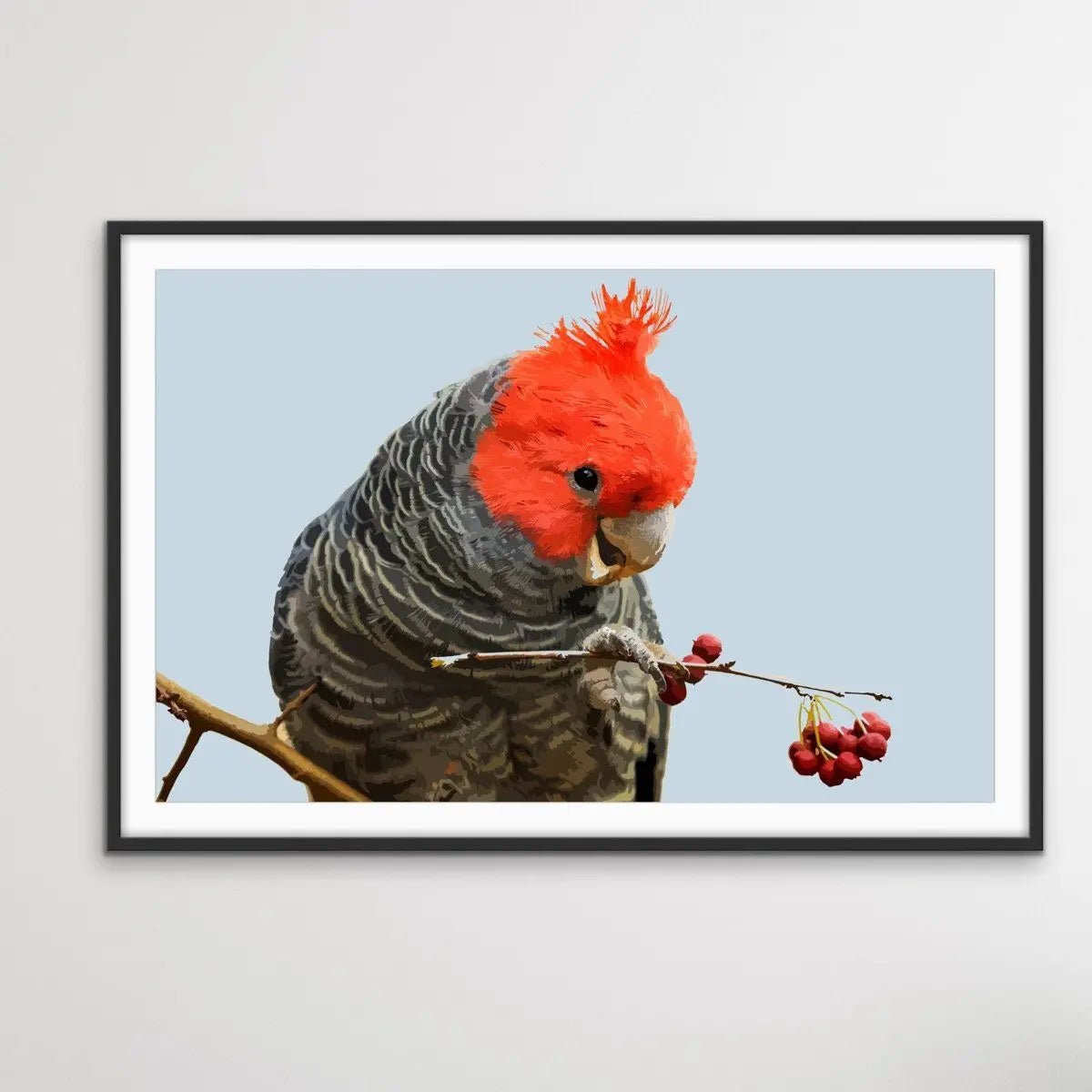 Gang Gang Cockatoo - Australian Native Bird Canvas or Art Print - I Heart Wall Art - Poster Print, Canvas Print or Framed Art Print