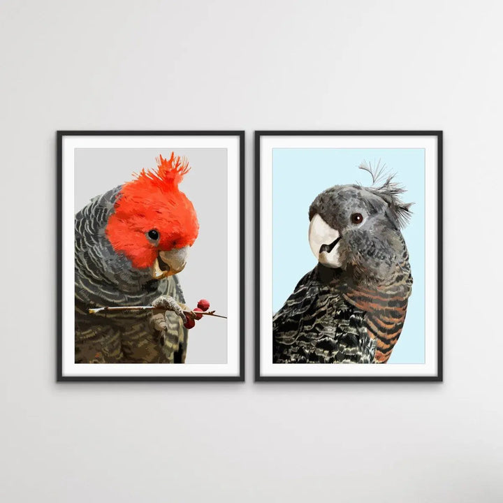 Gang Gang Cockatoos - Two Piece Native Australian Bird Print Set Diptych - I Heart Wall Art
