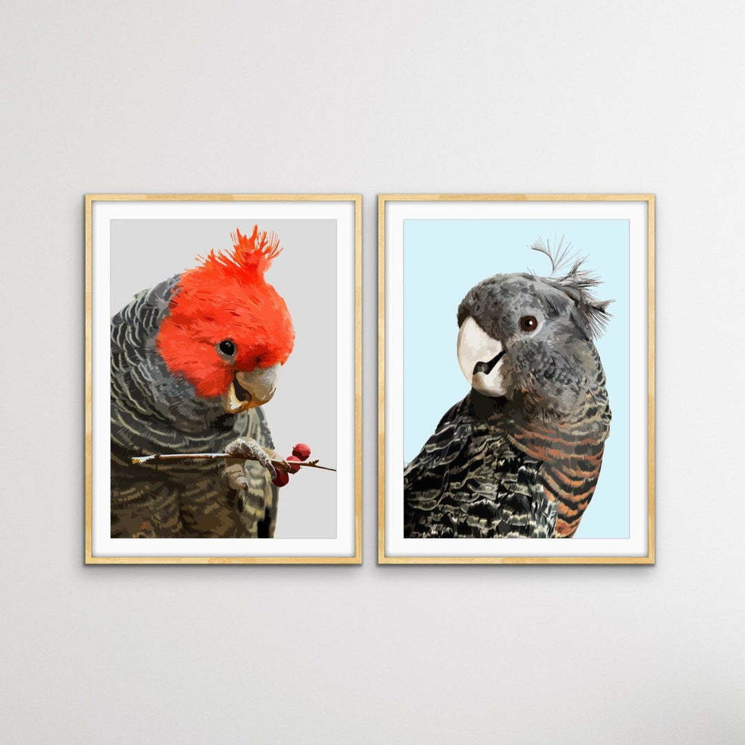Gang Gang Cockatoos - Two Piece Native Australian Bird Print Set Diptych - I Heart Wall Art