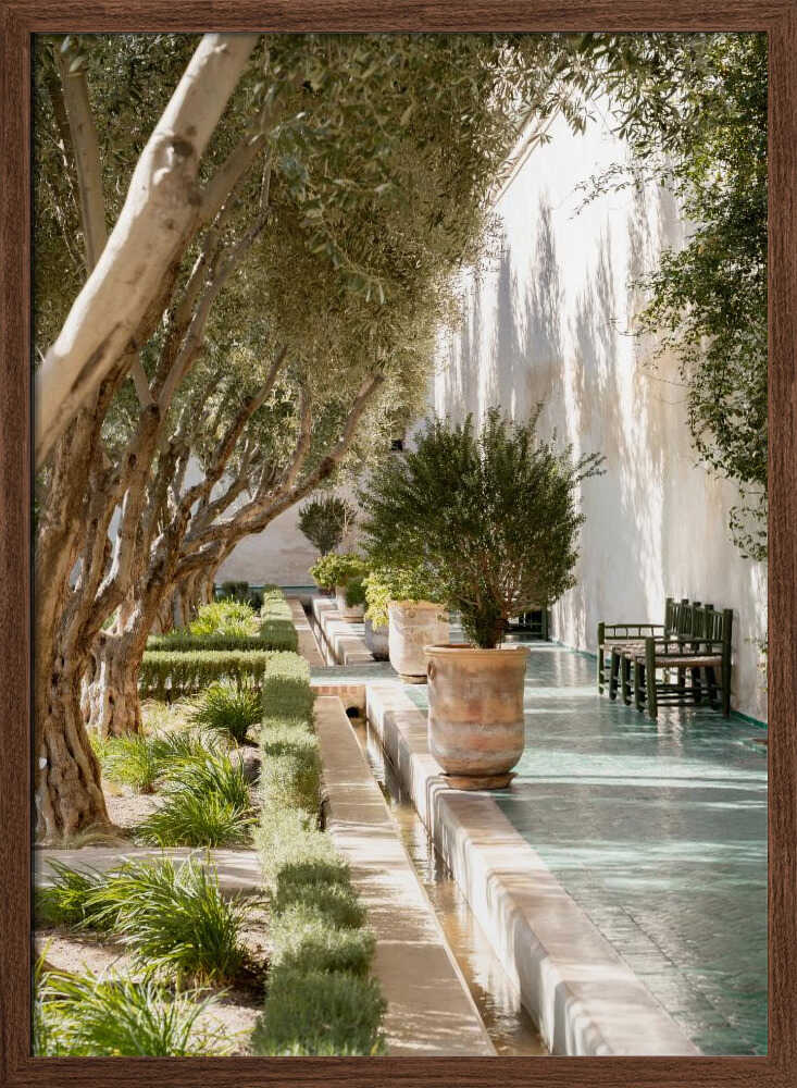 Garden Walk - Stretched Canvas, Poster or Fine Art Print - I Heart Wall Art - Poster Print, Canvas Print or Framed Art Print