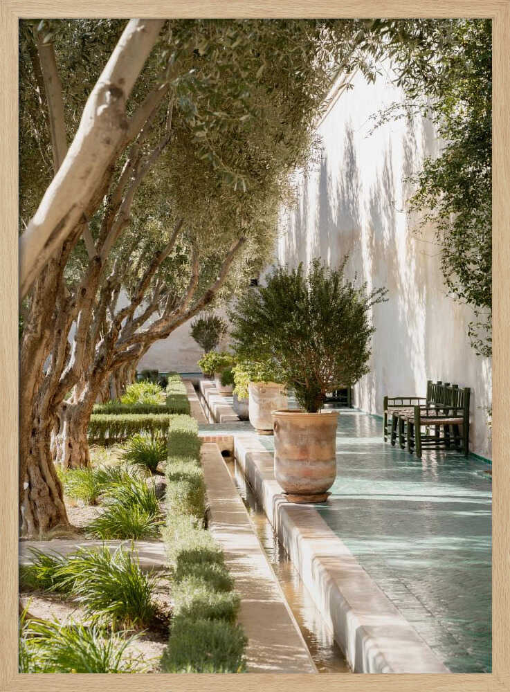 Garden Walk - Stretched Canvas, Poster or Fine Art Print - I Heart Wall Art - Poster Print, Canvas Print or Framed Art Print