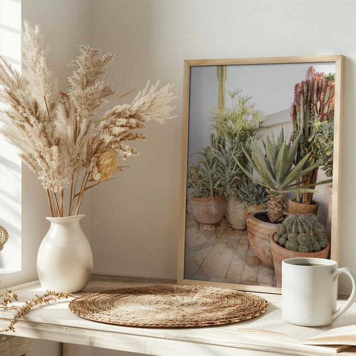Garden with Various Potted Succulents and Cacti - Stretched Canvas, Poster or Fine Art Print - I Heart Wall Art - Poster Print, Canvas Print or Framed Art Print
