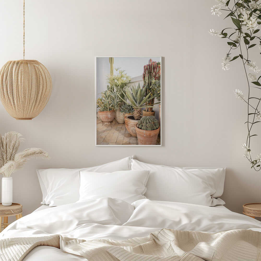 Garden with Various Potted Succulents and Cacti - Stretched Canvas, Poster or Fine Art Print - I Heart Wall Art - Poster Print, Canvas Print or Framed Art Print