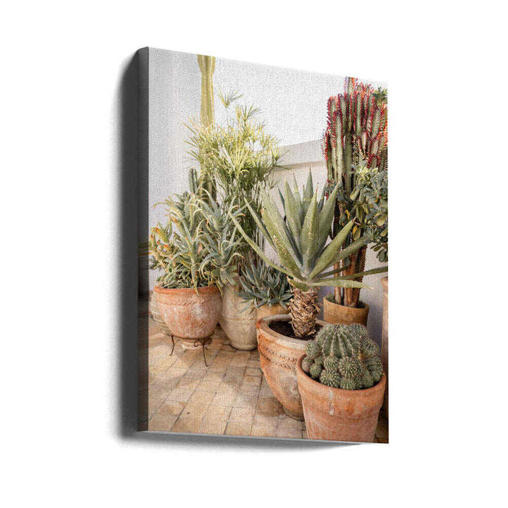 Garden with Various Potted Succulents and Cacti - Stretched Canvas, Poster or Fine Art Print - I Heart Wall Art - Poster Print, Canvas Print or Framed Art Print
