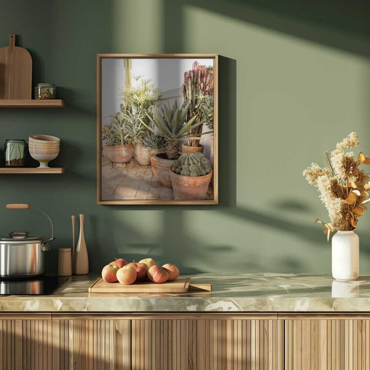 Garden with Various Potted Succulents and Cacti - Stretched Canvas, Poster or Fine Art Print - I Heart Wall Art - Poster Print, Canvas Print or Framed Art Print