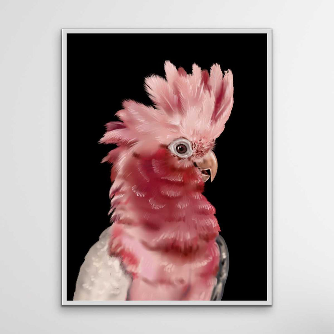 Gary The Galah - Gary The Galah Wall Art Print Stretched Canvas Wall Art I Heart Wall Art Australia 