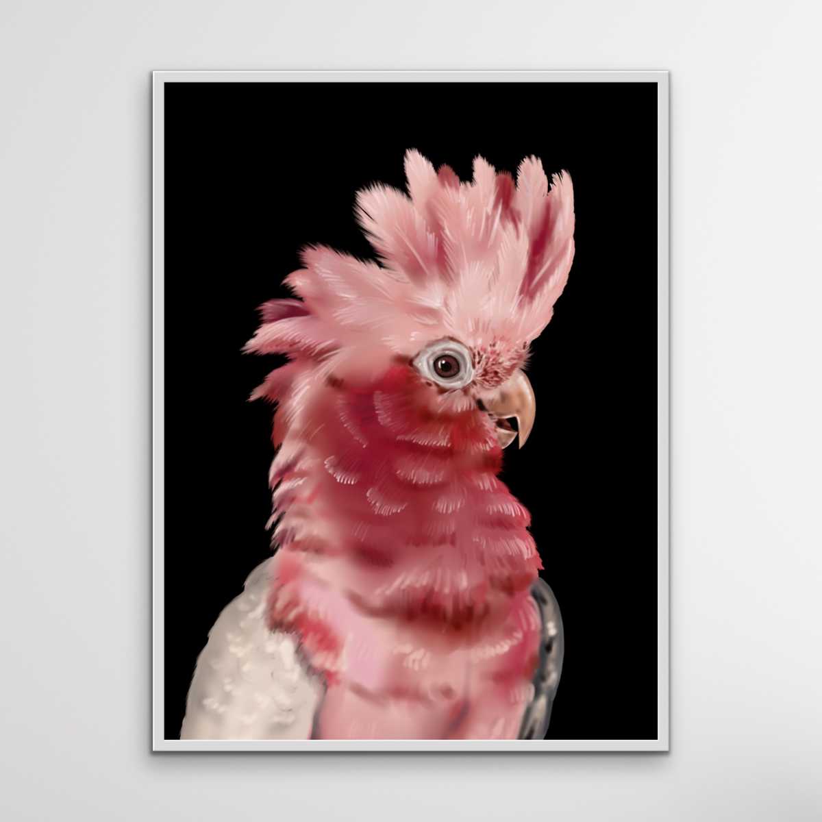 Gary The Galah - Gary The Galah Wall Art Print Stretched Canvas Wall Art I Heart Wall Art Australia 