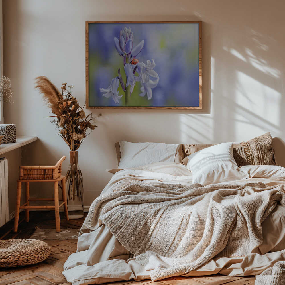 Gentle Bluebell Ladybug - Floral Photographic Stretched Canvas Poster or Fine Art Print