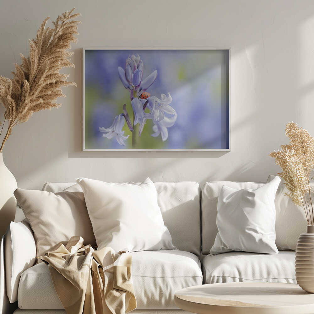 Gentle Bluebell Ladybug - Floral Photographic Stretched Canvas Poster or Fine Art Print