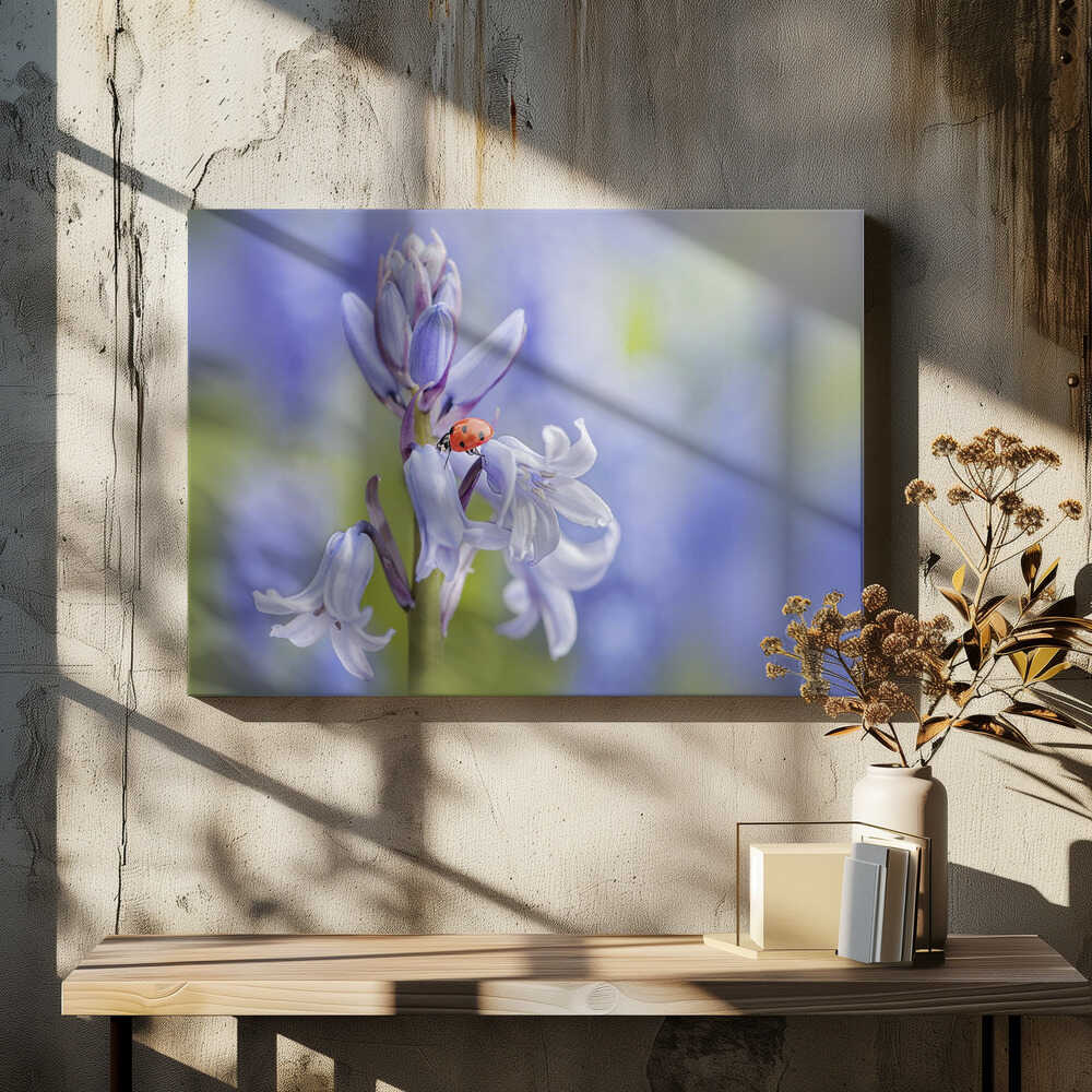 Gentle Bluebell Ladybug - Floral Photographic Stretched Canvas Poster or Fine Art Print