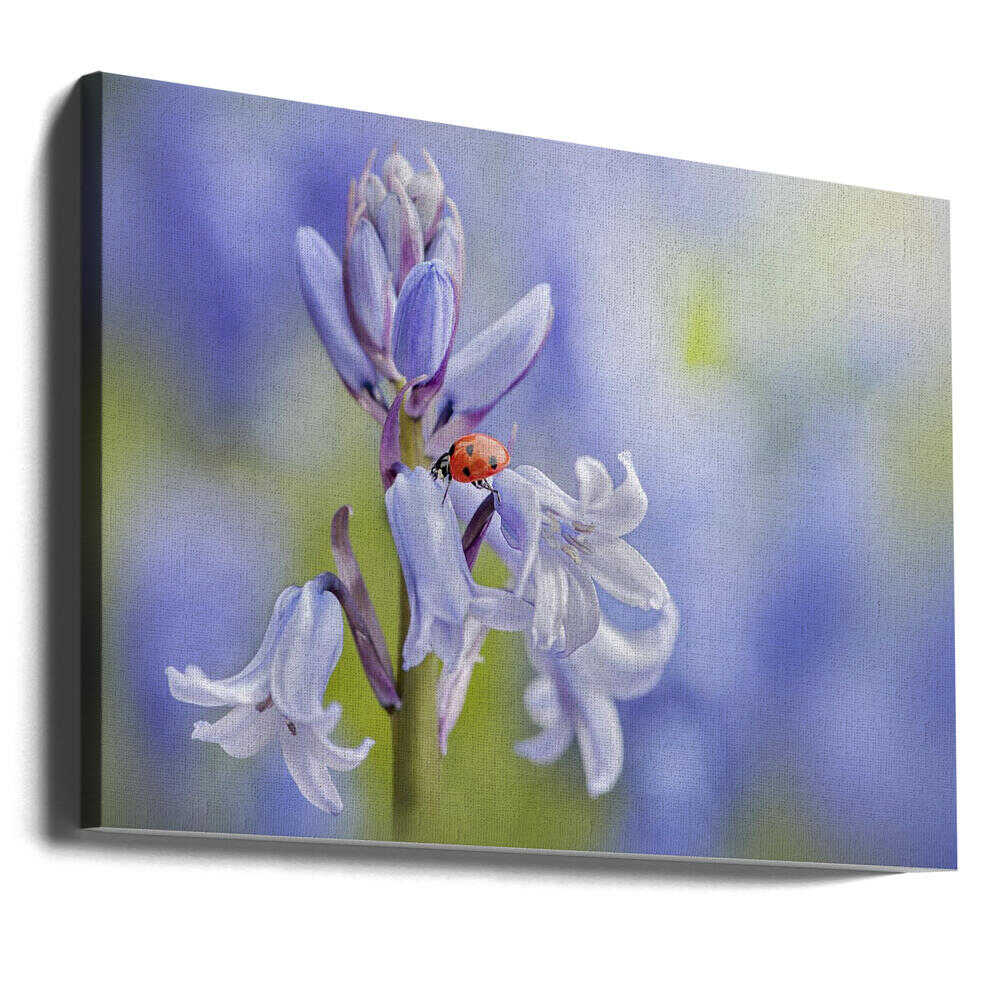 Gentle Bluebell Ladybug - Floral Photographic Stretched Canvas Poster or Fine Art Print