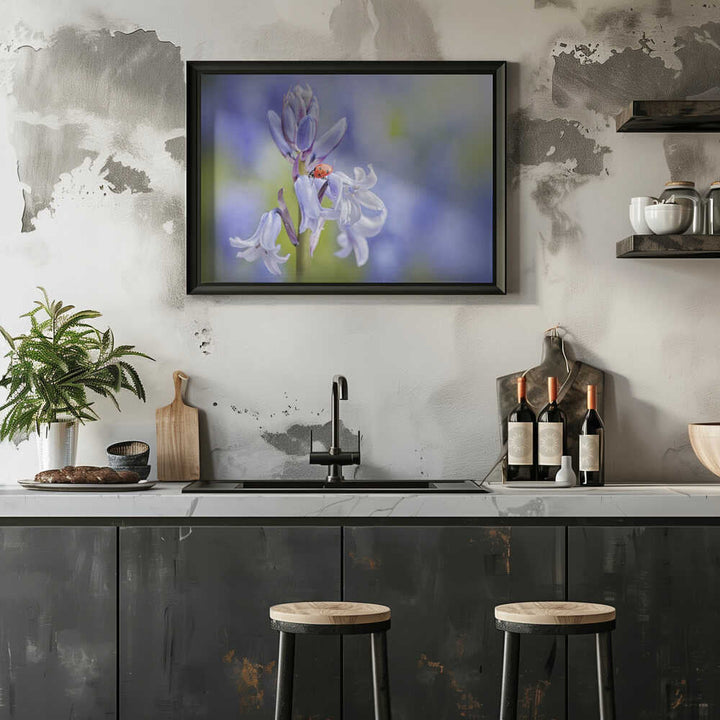 Gentle Bluebell Ladybug - Floral Photographic Stretched Canvas Poster or Fine Art Print