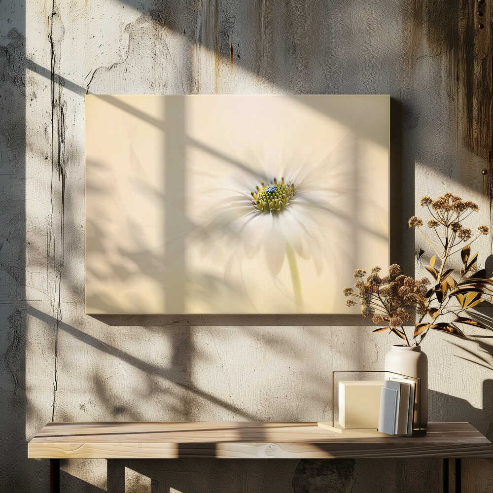 Gentle Daisy Bloom - Floral Photographic Stretched Canvas Poster or Fine Art Print