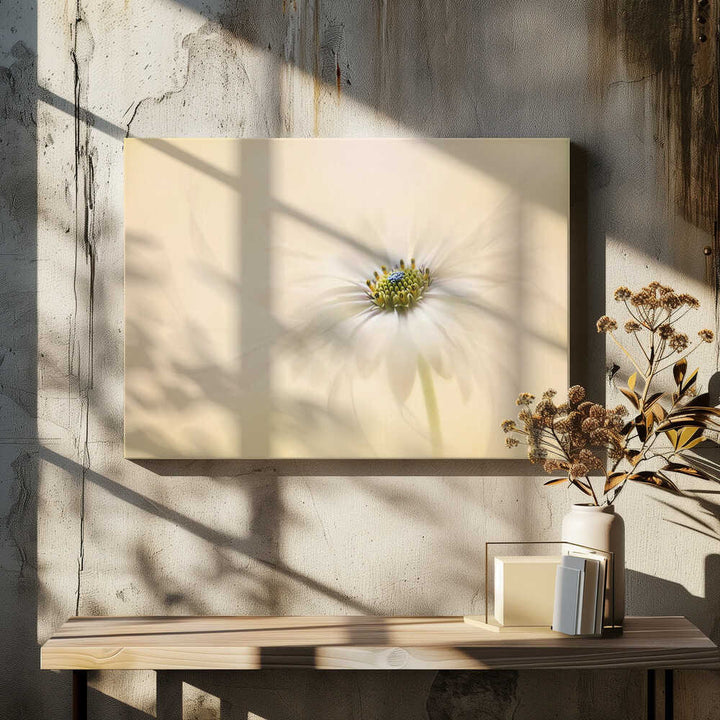 Gentle Daisy Bloom - Floral Photographic Stretched Canvas Poster or Fine Art Print
