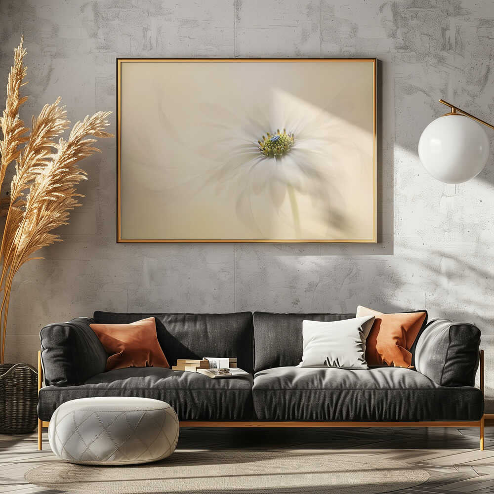 Gentle Daisy Bloom - Floral Photographic Stretched Canvas Poster or Fine Art Print
