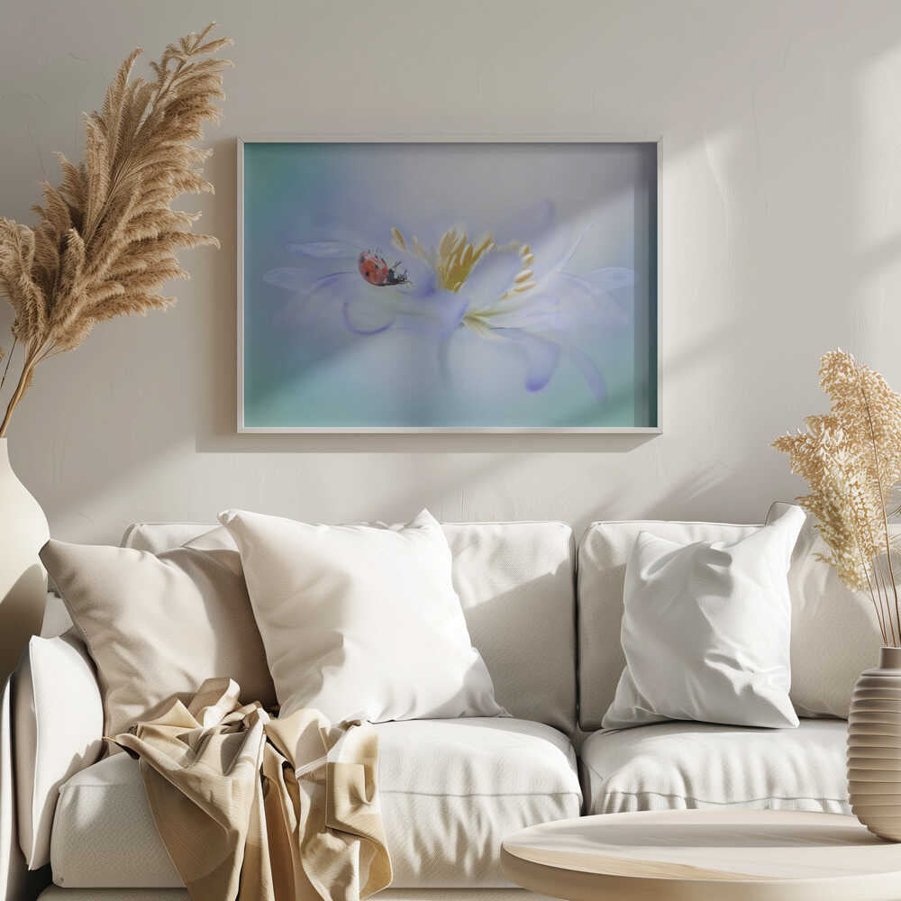 Gentle Ladybug Blossom - Floral Photographic Stretched Canvas Poster or Fine Art Print