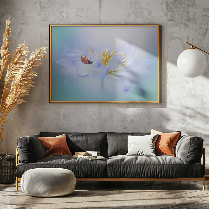 Gentle Ladybug Blossom - Floral Photographic Stretched Canvas Poster or Fine Art Print