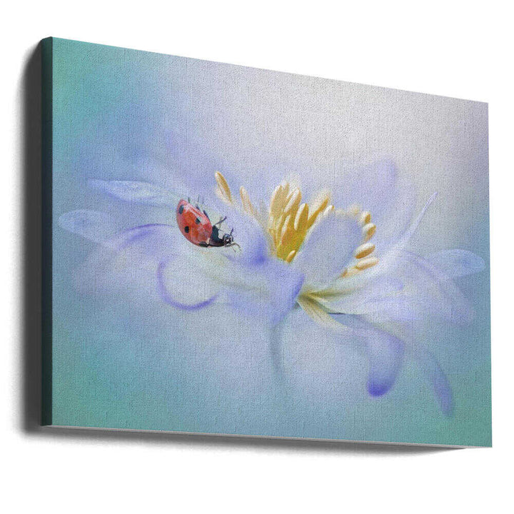 Gentle Ladybug Blossom - Floral Photographic Stretched Canvas Poster or Fine Art Print