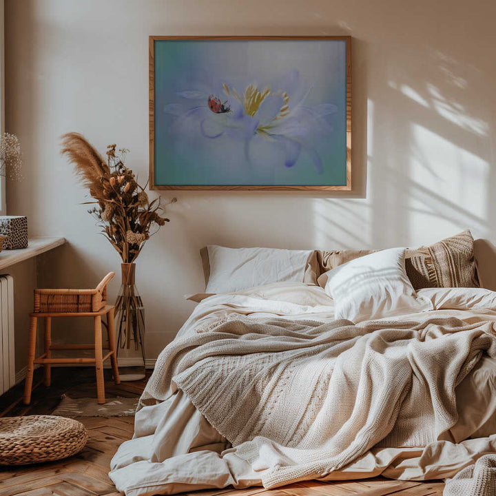 Gentle Ladybug Blossom - Floral Photographic Stretched Canvas Poster or Fine Art Print