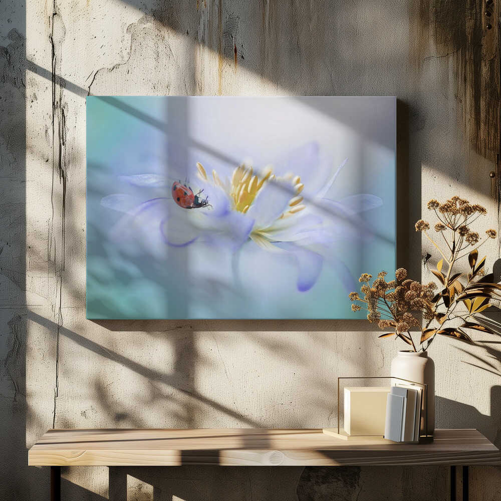 Gentle Ladybug Blossom - Floral Photographic Stretched Canvas Poster or Fine Art Print