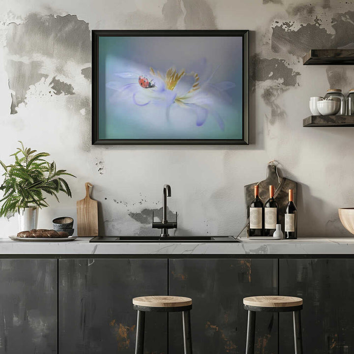 Gentle Ladybug Blossom - Floral Photographic Stretched Canvas Poster or Fine Art Print