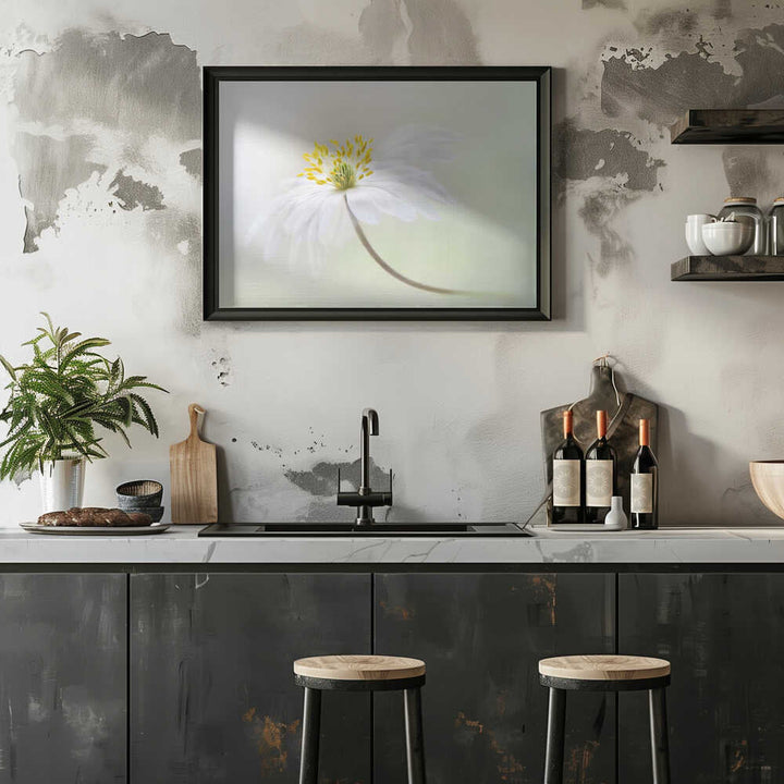 Gentle White Bloom - Stretched Canvas Poster or Fine Art Print