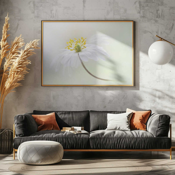 Gentle White Bloom - Stretched Canvas Poster or Fine Art Print