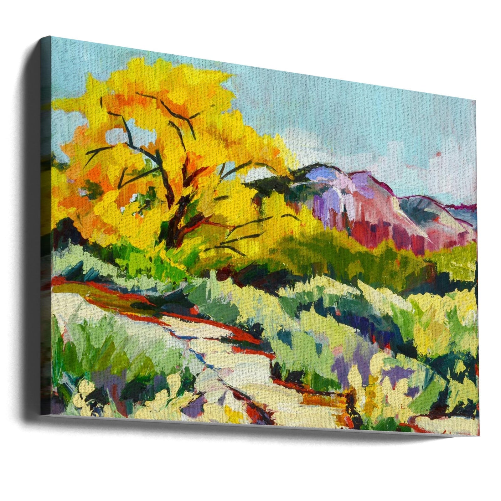Ghost Ranch Trail - Stretched Canvas, Poster or Fine Art Print I Heart Wall Art