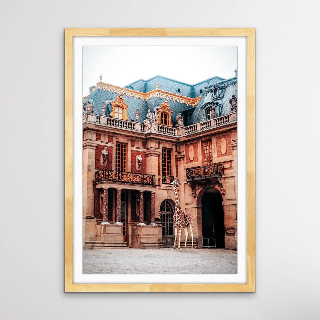 Giraffe At Versailles - Edited Photographic Print Showing Luxury Palace with Giraffe I Heart Wall Art Australia 
