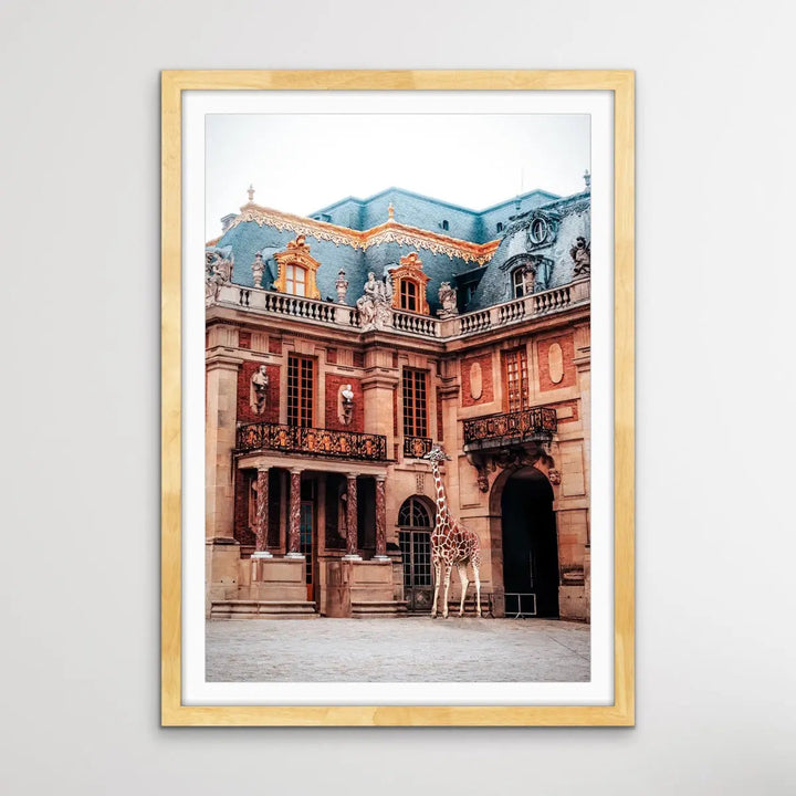 Giraffe At Versailles - Edited Photographic Print Showing Luxury Palace with Giraffe I Heart Wall Art Australia 