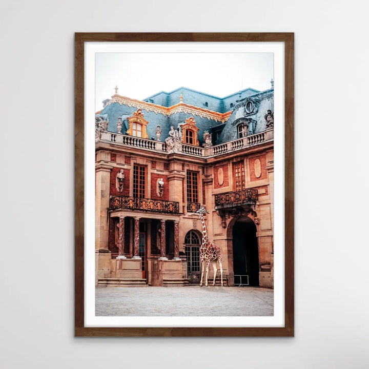 Giraffe At Versailles - Edited Photographic Print Showing Luxury Palace with Giraffe I Heart Wall Art Australia 