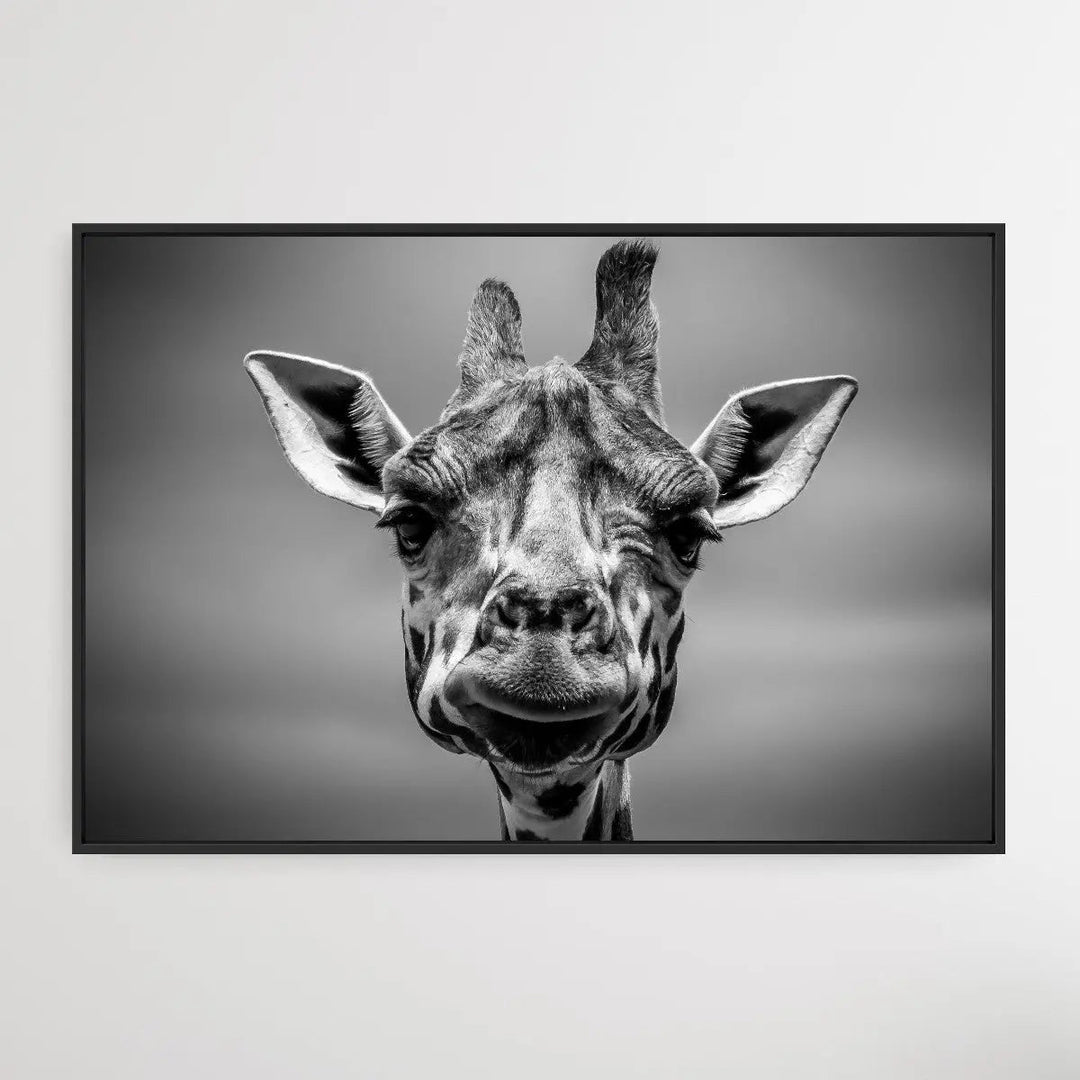 Giraffe in Monotone - I Heart Wall Art