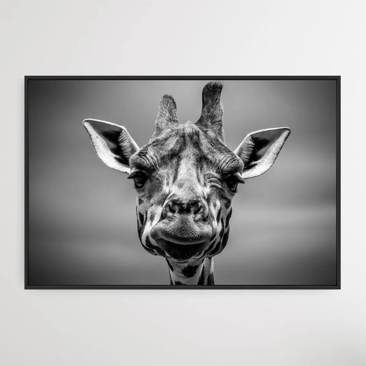 Giraffe in Monotone - I Heart Wall Art