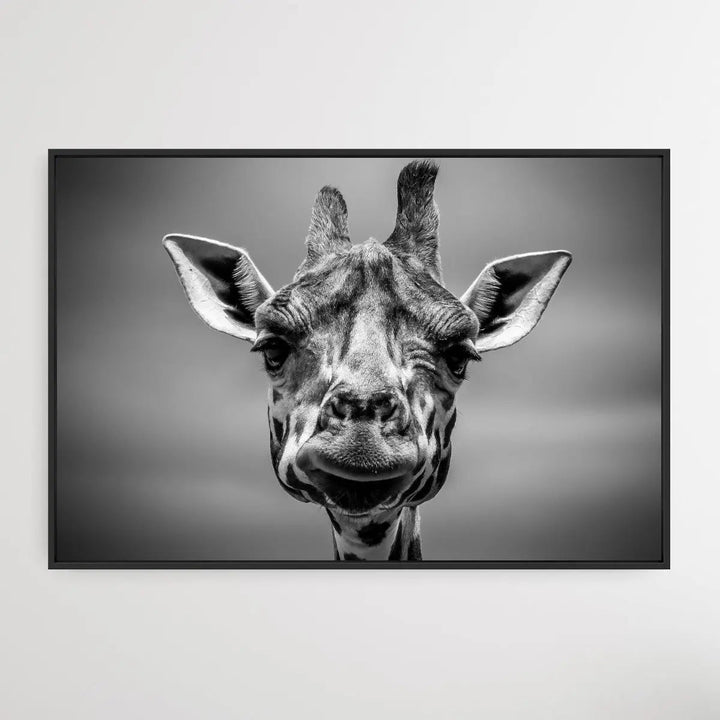 Giraffe in Monotone - I Heart Wall Art
