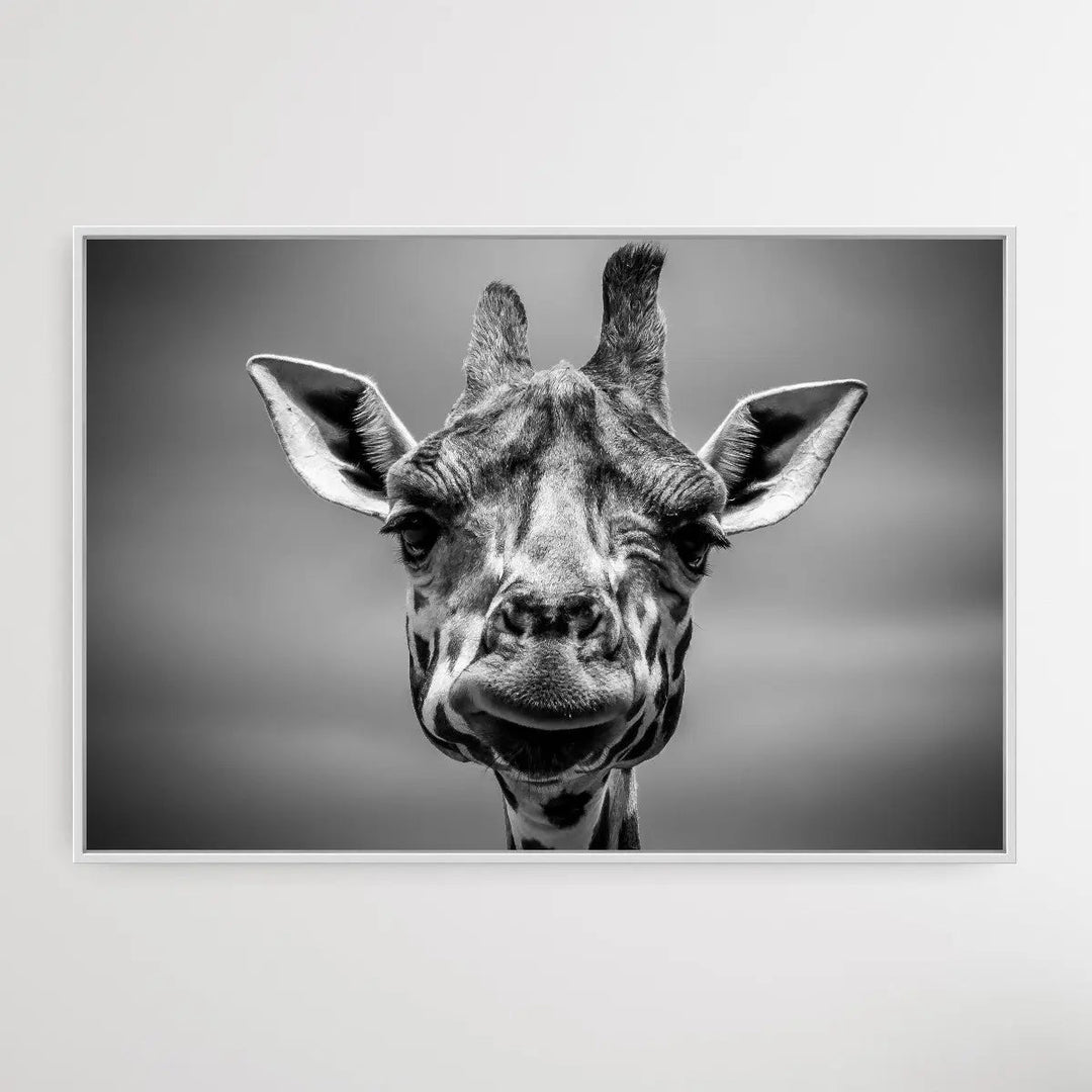 Giraffe in Monotone - I Heart Wall Art