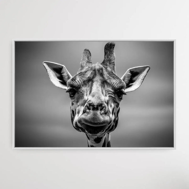 Giraffe in Monotone - I Heart Wall Art