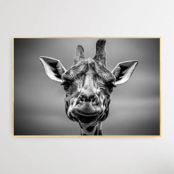 Giraffe in Monotone - I Heart Wall Art