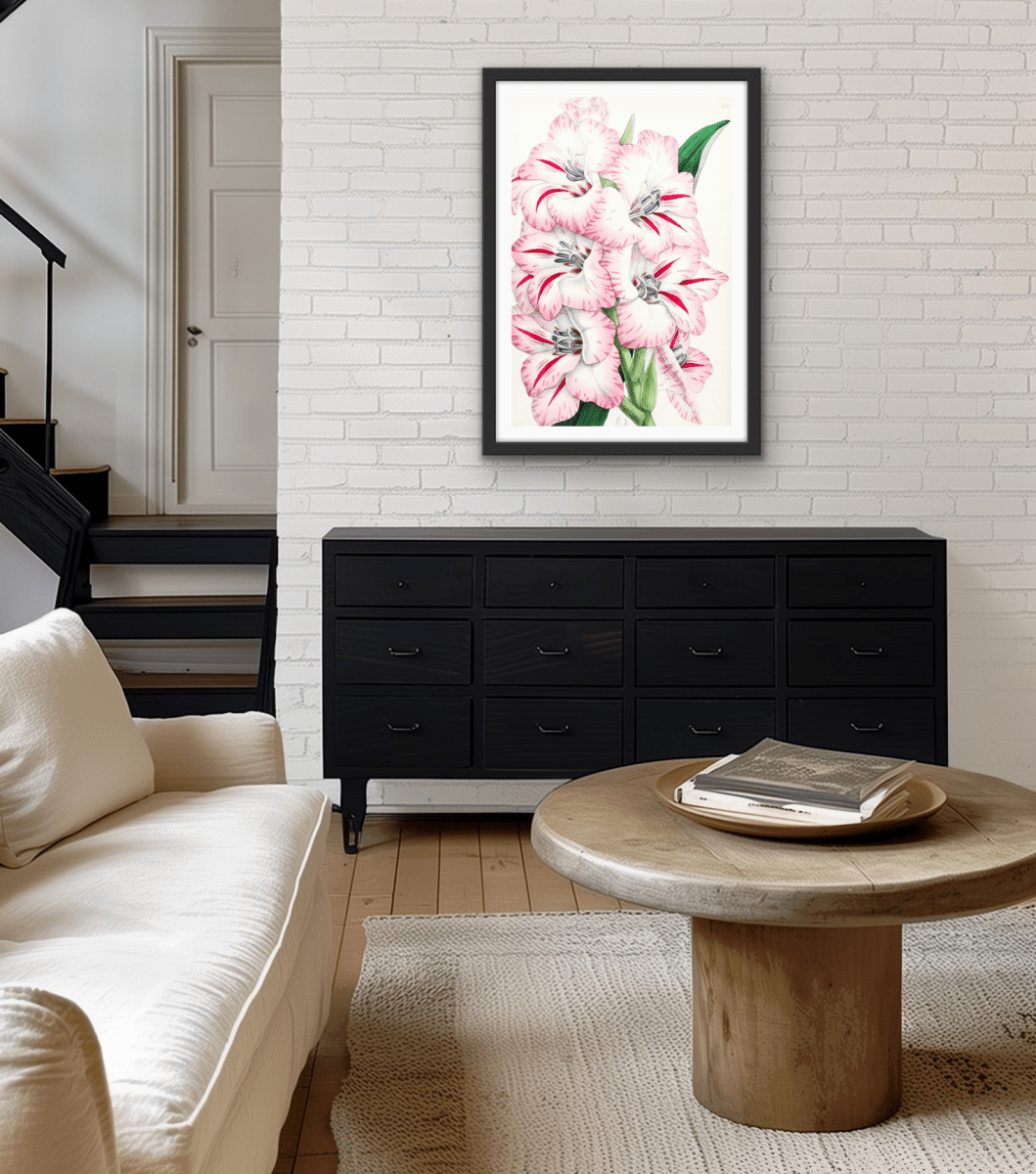 Gladiolus from The Floral Magazine (1861 - 1881) by Worthington G. Smith, John N. Fitch and Walter H. Fitch - Botanical Illustration Stretched Canvas or Wall Art Print - I Heart Wall Art - Poster Print, Canvas Print or Framed Art Print