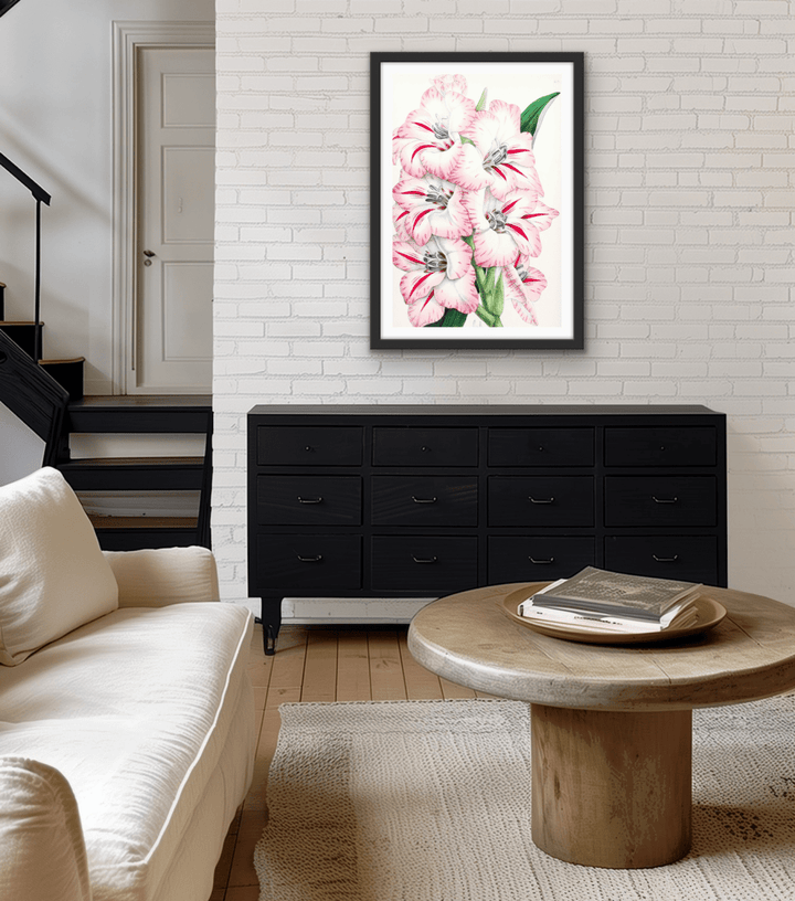 Gladiolus from The Floral Magazine (1861 - 1881) by Worthington G. Smith, John N. Fitch and Walter H. Fitch - Botanical Illustration Stretched Canvas or Wall Art Print - I Heart Wall Art - Poster Print, Canvas Print or Framed Art Print