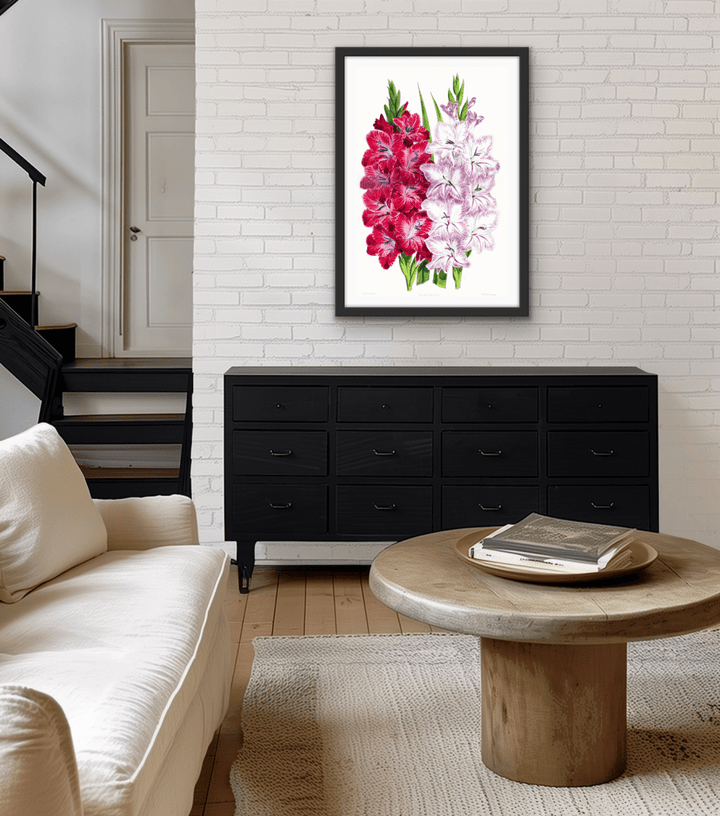 Gladiolus Two from The Floral Magazine (1861 - 1881) by Worthington G. Smith, John N. Fitch and Walter H. Fitch - Botanical Illustration Stretched Canvas or Wall Art Print - I Heart Wall Art - Poster Print, Canvas Print or Framed Art Print